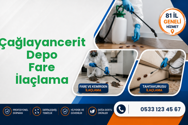 Çağlayancerit Depo Fare İlaçlama