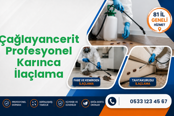 Çağlayancerit Profesyonel Karınca İlaçlama