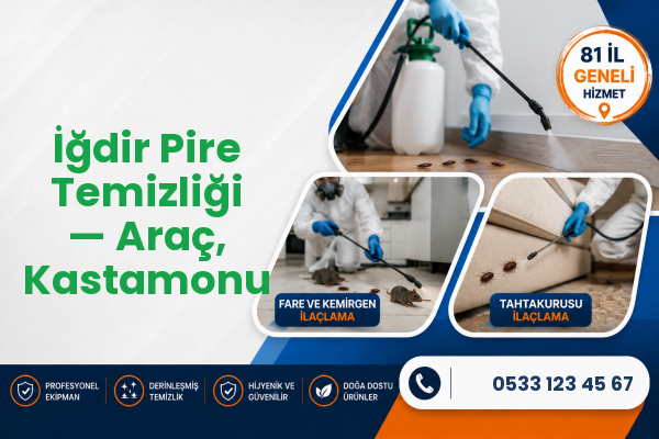 İğdir Pire Temizliği — Araç, Kastamonu