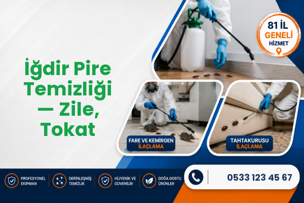 İğdir Pire Temizliği — Zile, Tokat