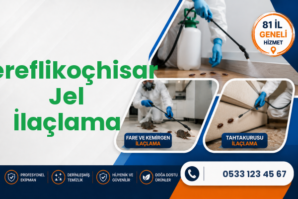 Şereflikoçhisar Jel İlaçlama