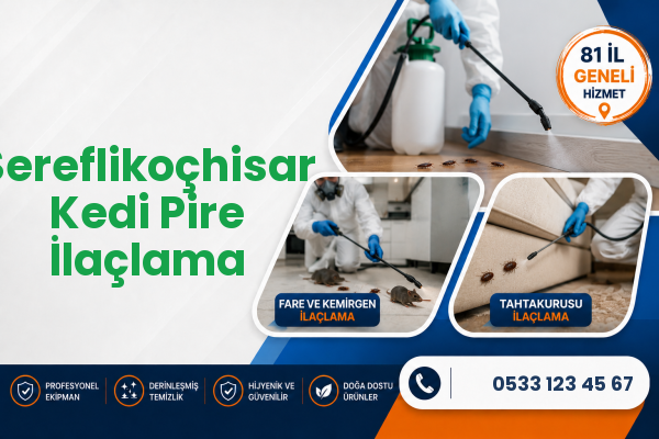 Şereflikoçhisar Kedi Pire İlaçlama