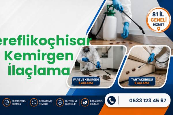 Şereflikoçhisar Kemirgen İlaçlama