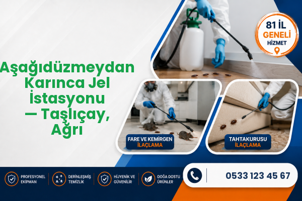 Aşağıdüzmeydan Karınca Jel İstasyonu — Taşlıçay, Ağrı