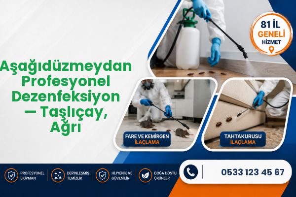 Aşağıdüzmeydan Profesyonel Dezenfeksiyon — Taşlıçay, Ağrı
