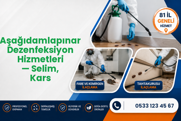 Aşağıdamlapınar Dezenfeksiyon Hizmetleri — Selim, Kars
