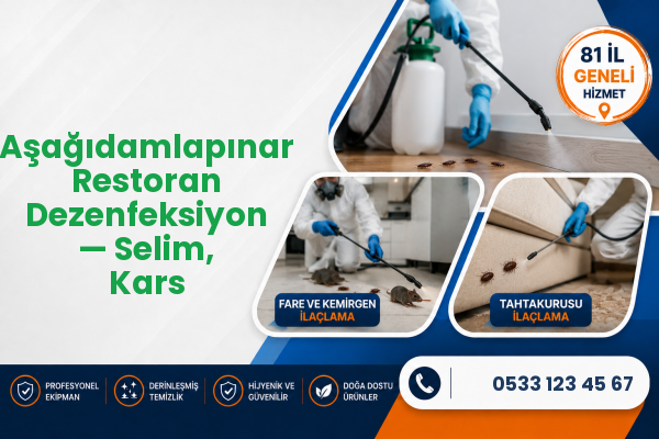 Aşağıdamlapınar Restoran Dezenfeksiyon — Selim, Kars