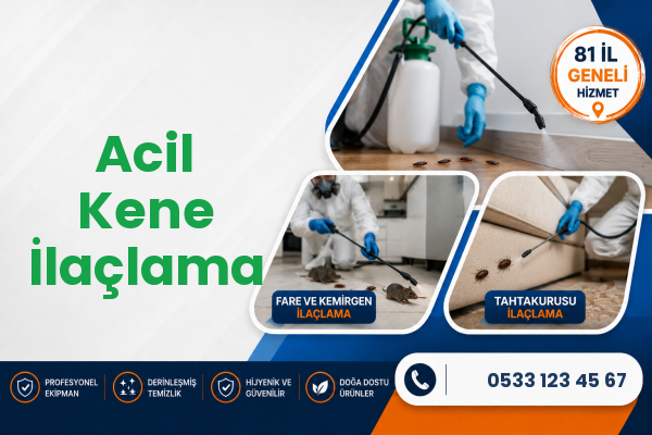 Acil Kene İlaçlama