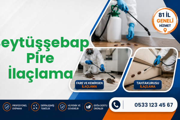 Beytüşşebap Pire İlaçlama