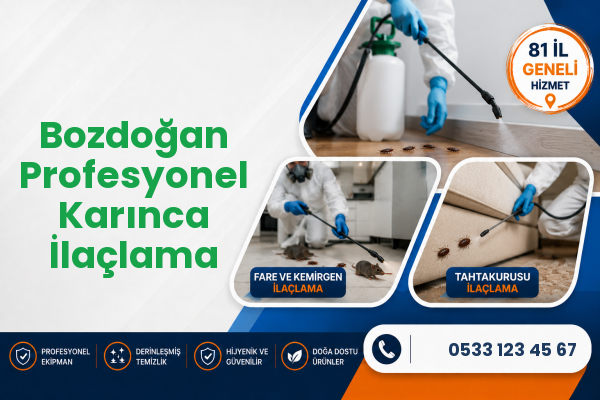 Bozdoğan Profesyonel Karınca İlaçlama