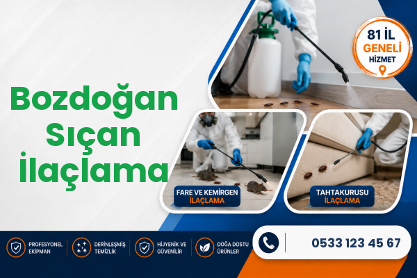 Bozdoğan Sıçan İlaçlama