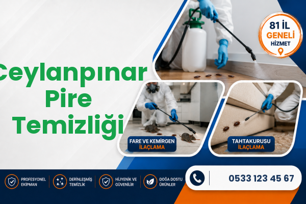 Ceylanpınar Pire Temizliği