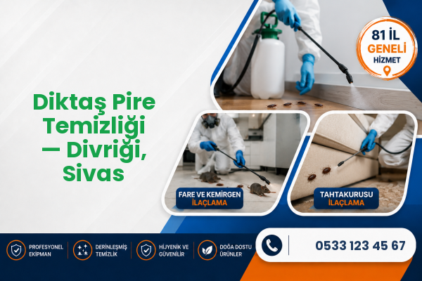 Diktaş Pire Temizliği — Divriği, Sivas