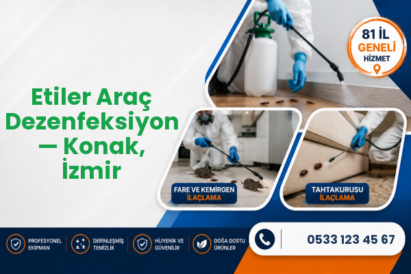 Etiler Araç Dezenfeksiyon — Konak, İzmir