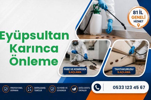 Eyüpsultan Karınca Önleme