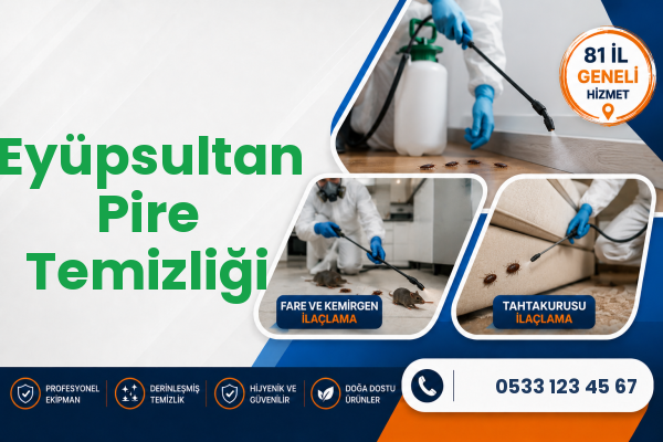 Eyüpsultan Pire Temizliği