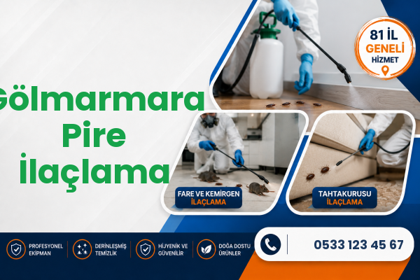 Gölmarmara Pire İlaçlama