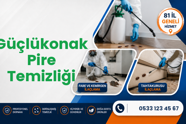 Güçlükonak Pire Temizliği