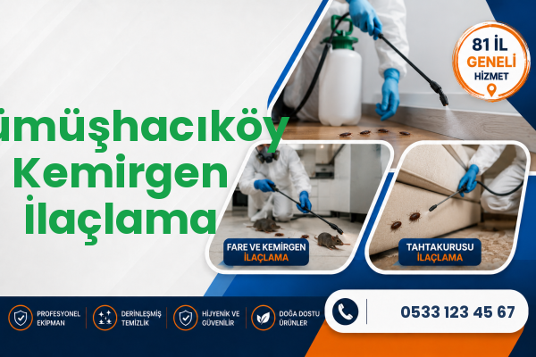 Gümüşhacıköy Kemirgen İlaçlama