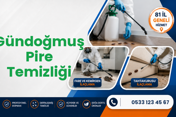 Gündoğmuş Pire Temizliği
