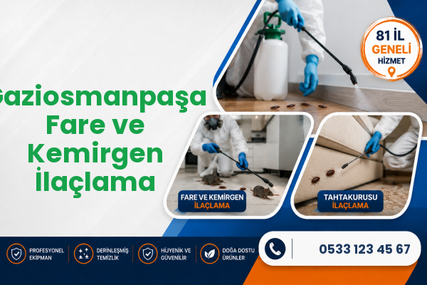 Gaziosmanpaşa Fare ve Kemirgen İlaçlama