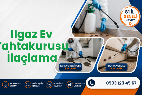 Ilgaz Ev Tahtakurusu İlaçlama