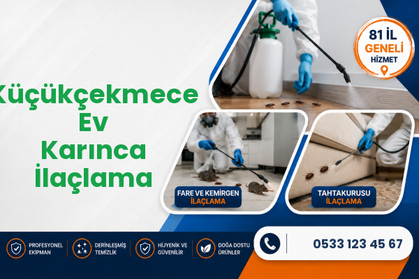Küçükçekmece Ev Karınca İlaçlama