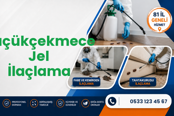 Küçükçekmece Jel İlaçlama