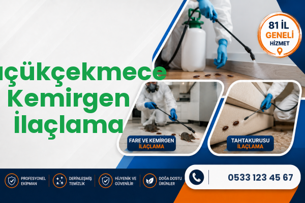 Küçükçekmece Kemirgen İlaçlama