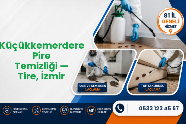 Küçükkemerdere Pire Temizliği — Tire, İzmir