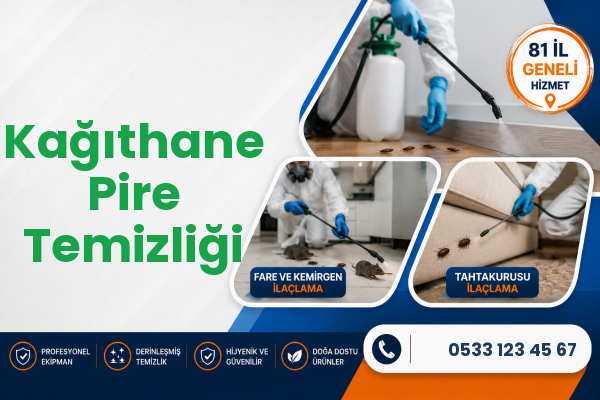 Kağıthane Pire Temizliği