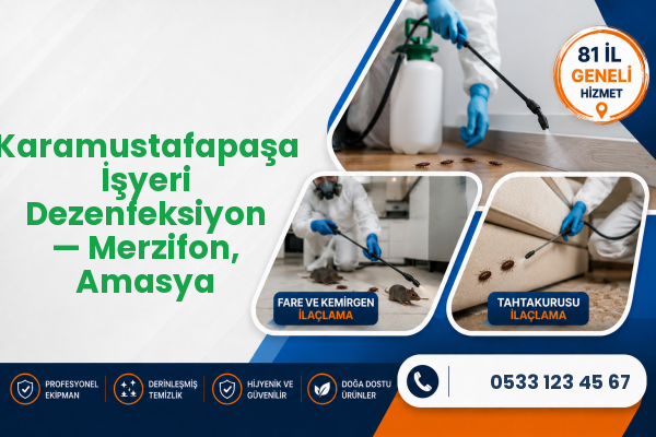 Karamustafapaşa İşyeri Dezenfeksiyon — Merzifon, Amasya