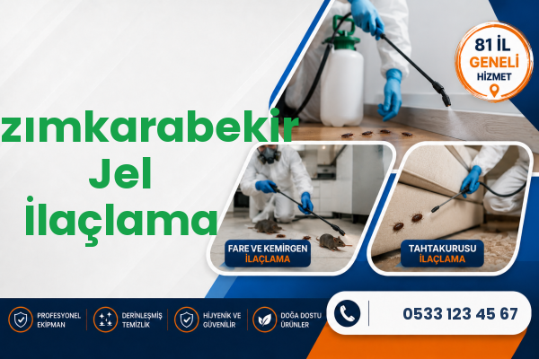 Kazımkarabekir Jel İlaçlama