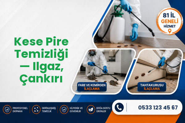 Kese Pire Temizliği — Ilgaz, Çankırı