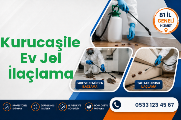 Kurucaşile Ev Jel İlaçlama
