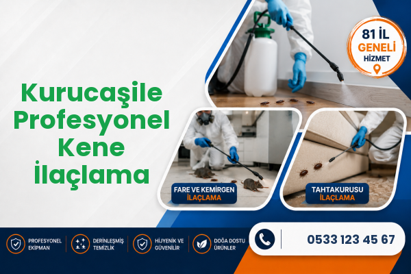 Kurucaşile Profesyonel Kene İlaçlama