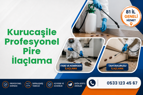 Kurucaşile Profesyonel Pire İlaçlama