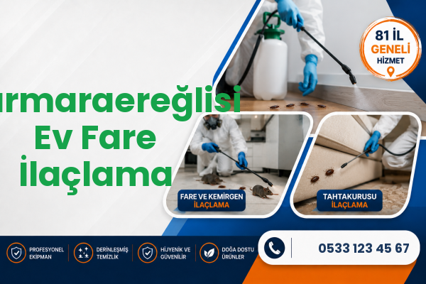 Marmaraereğlisi Ev Fare İlaçlama