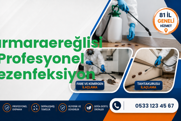 Marmaraereğlisi Profesyonel Dezenfeksiyon