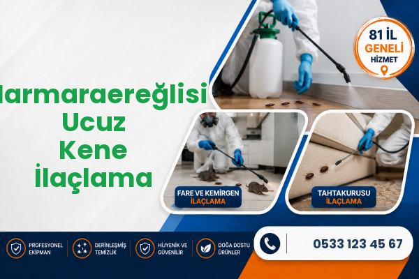 Marmaraereğlisi Ucuz Kene İlaçlama