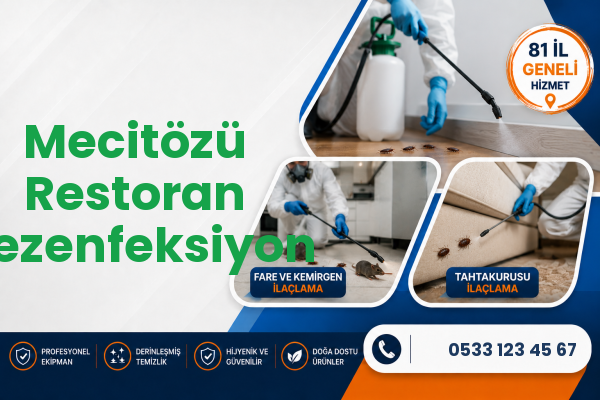 Mecitözü Restoran Dezenfeksiyon