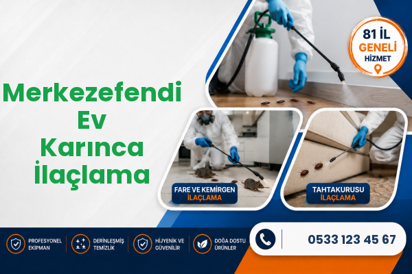Merkezefendi Ev Karınca İlaçlama