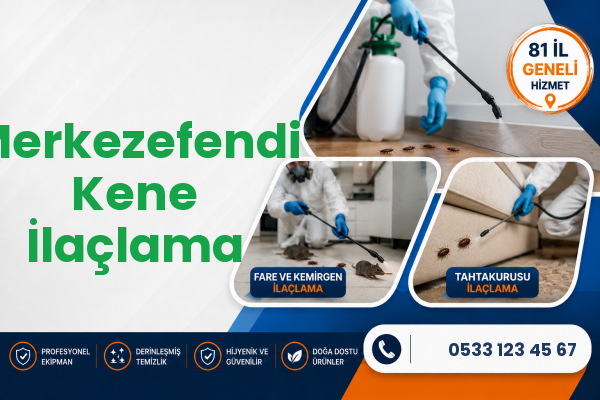 Merkezefendi Kene İlaçlama