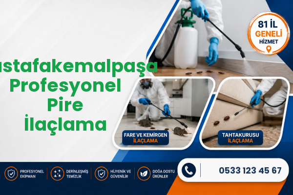 Mustafakemalpaşa Profesyonel Pire İlaçlama