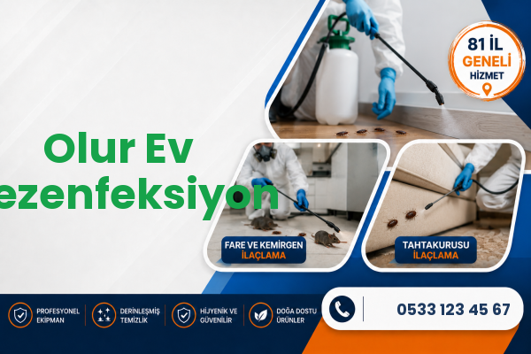 Olur Ev Dezenfeksiyon