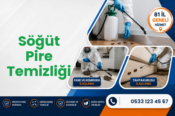 Söğüt Pire Temizliği