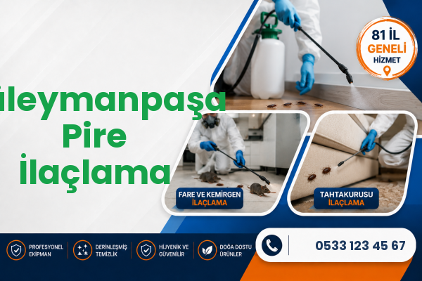 Süleymanpaşa Pire İlaçlama