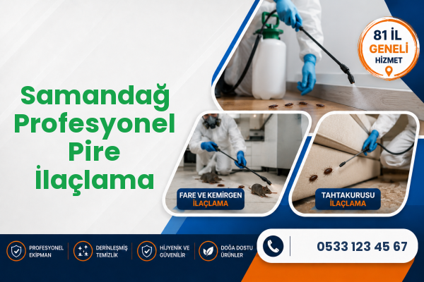 Samandağ Profesyonel Pire İlaçlama