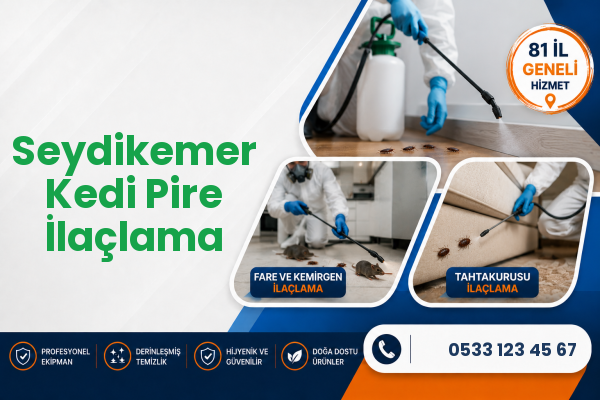 Seydikemer Kedi Pire İlaçlama