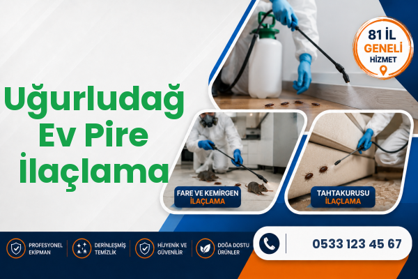 Uğurludağ Ev Pire İlaçlama